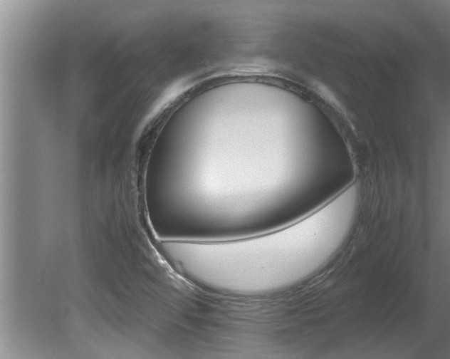 X0000080751456200612150945