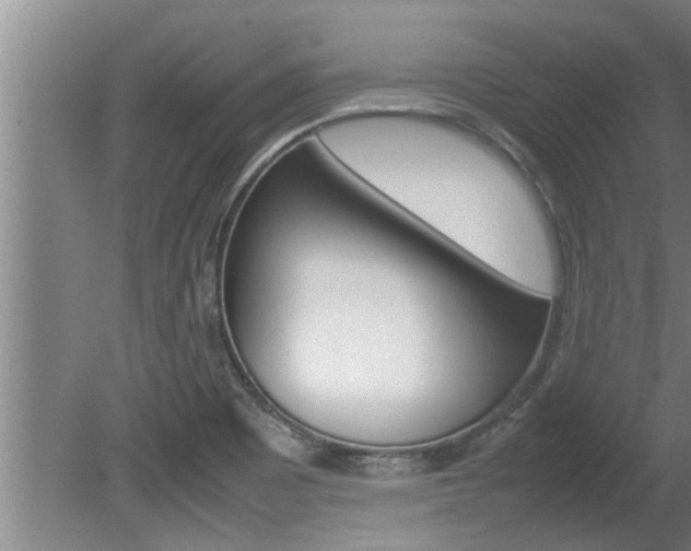 X0000080751465200612150945