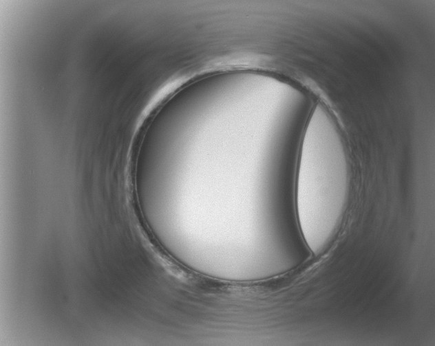 X0000080751469200612150945