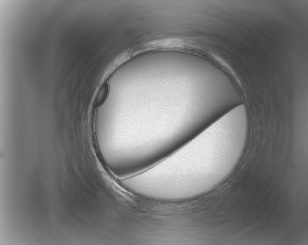 X0000080751475200612150945