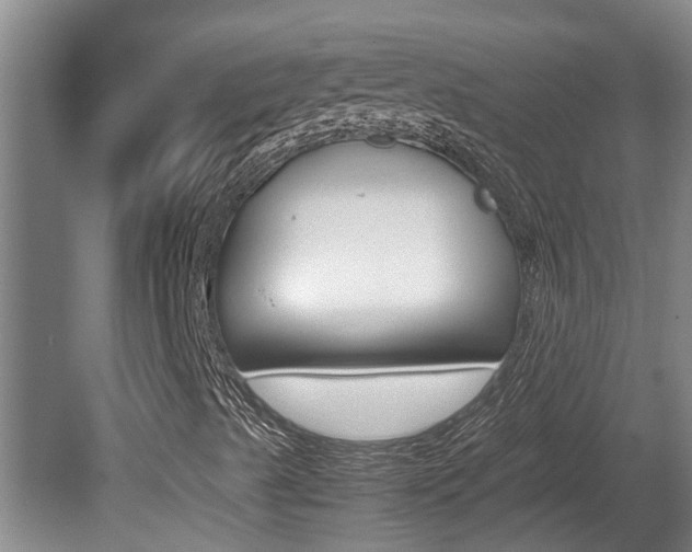 X0000080751489200612150944