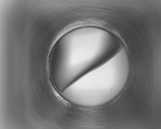 X0000080751516200612150944