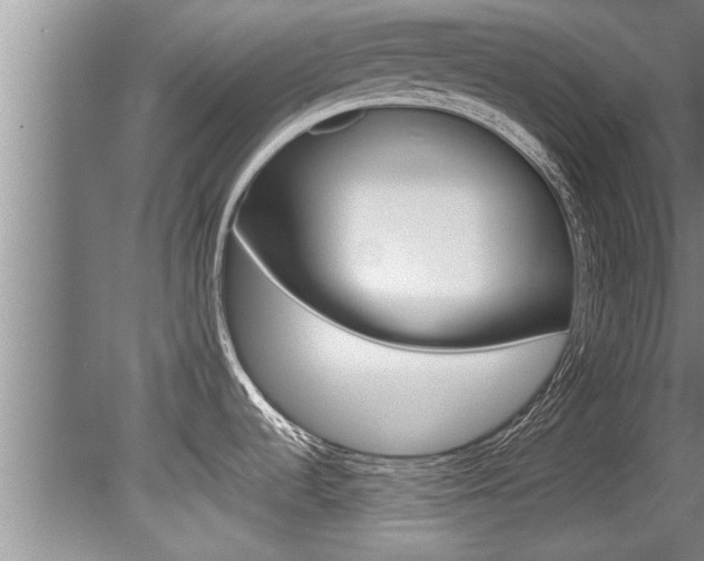 X0000080751536200612150945