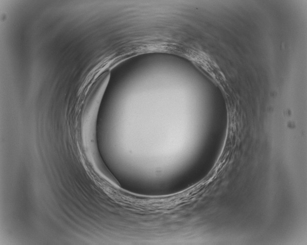 X0000080750001200612151326