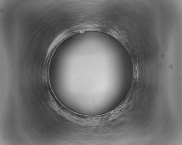 X0000080750004200612151326