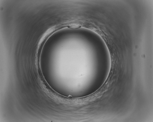 X0000080750006200612151326