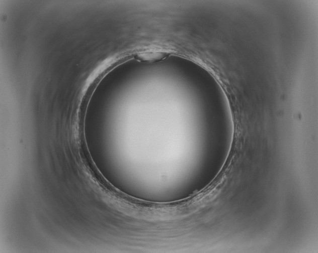 X0000080750008200612151326