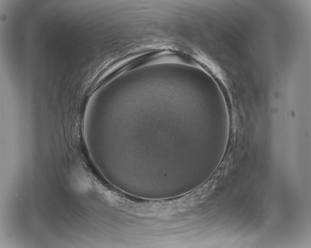 X0000080750009200612151326