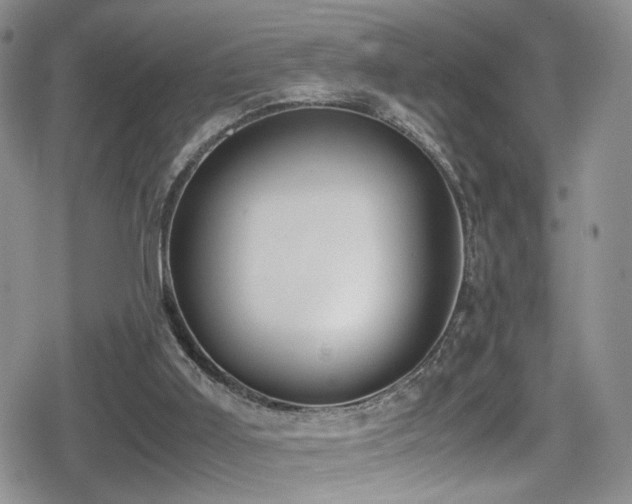 X0000080750011200612151326
