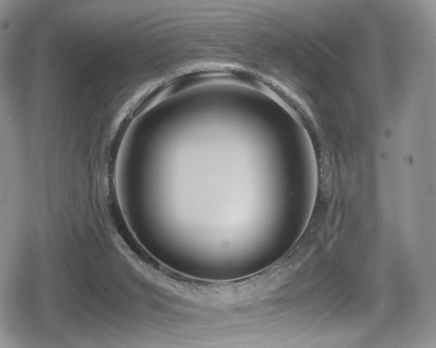 X0000080750015200612151326