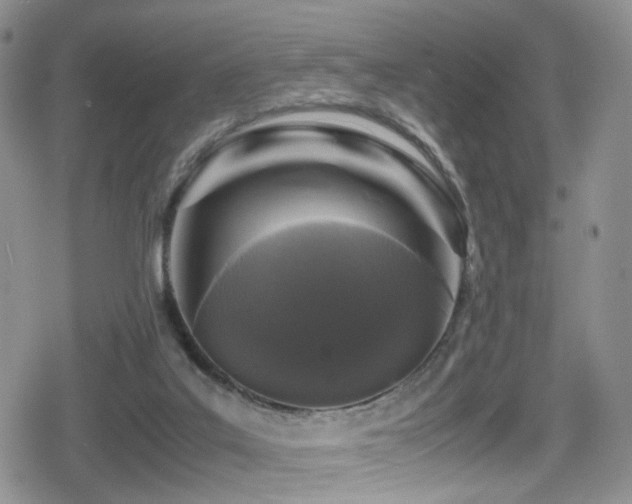 X0000080750019200612151326