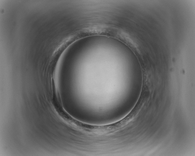 X0000080750020200612151326