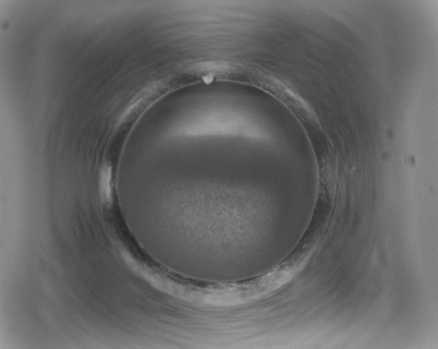 X0000080750024200612151326