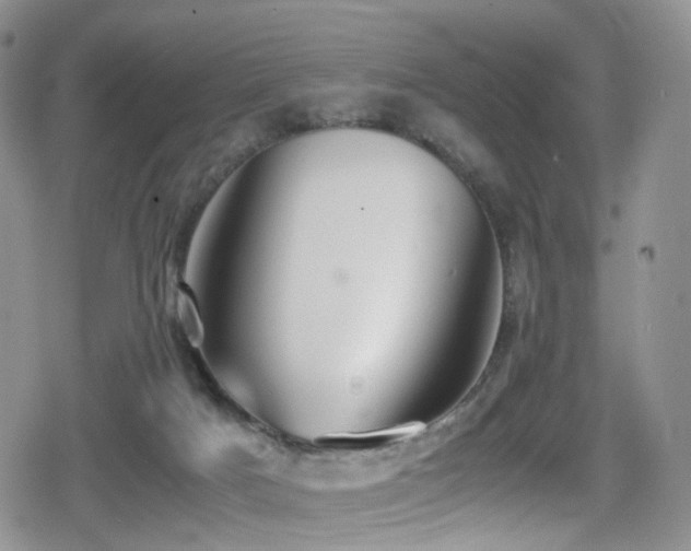 X0000080750025200612151326