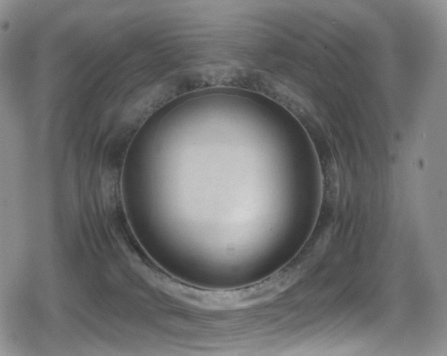 X0000080750034200612151326