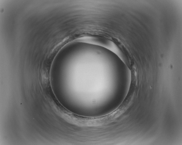 X0000080750040200612151325