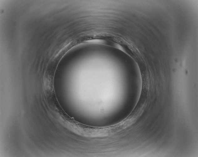 X0000080750044200612151325