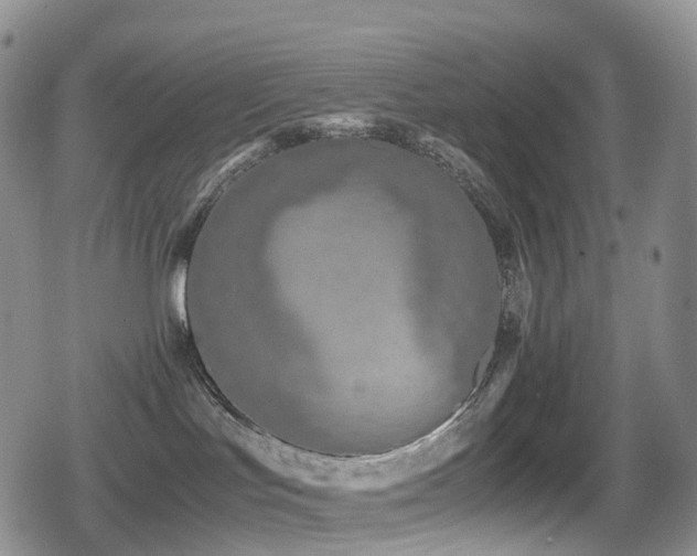 X0000080750047200612151325