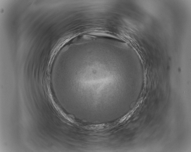 X0000080750049200612151325