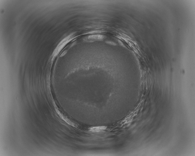 X0000080750051200612151325