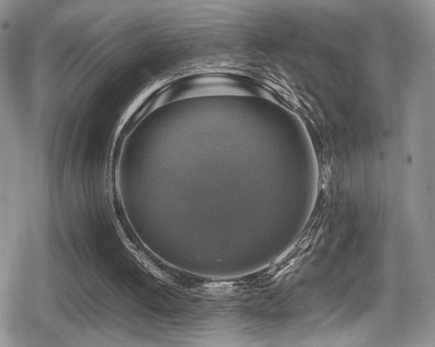 X0000080750052200612151325