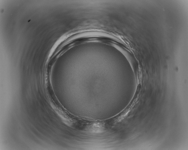 X0000080750056200612151325