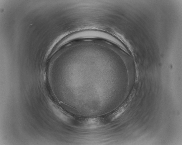 X0000080750060200612151325