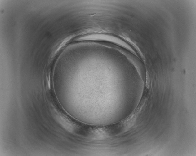 X0000080750062200612151325