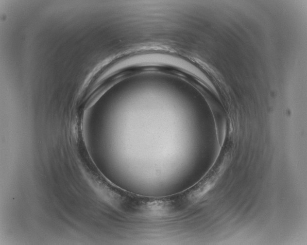 X0000080750064200612151325