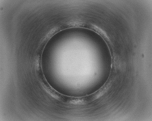 X0000080750065200612151325