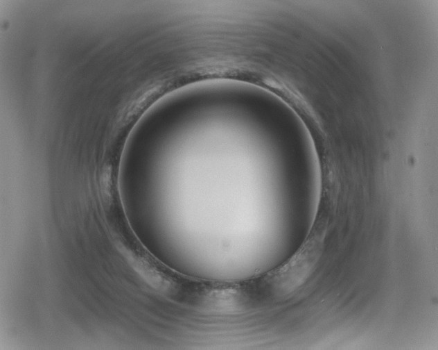 X0000080750066200612151325