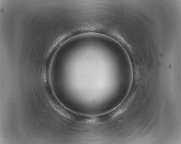 X0000080750068200612151325