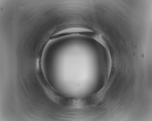 X0000080750070200612151325