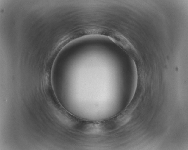 X0000080750071200612151325