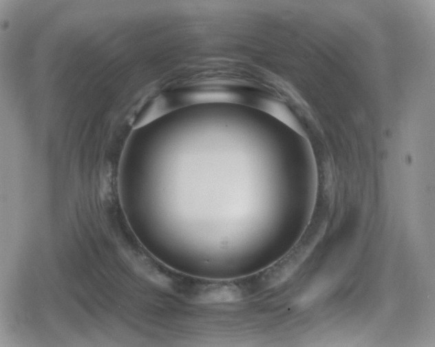 X0000080750073200612151325