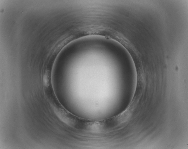 X0000080750074200612151325