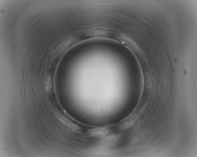 X0000080750077200612151325
