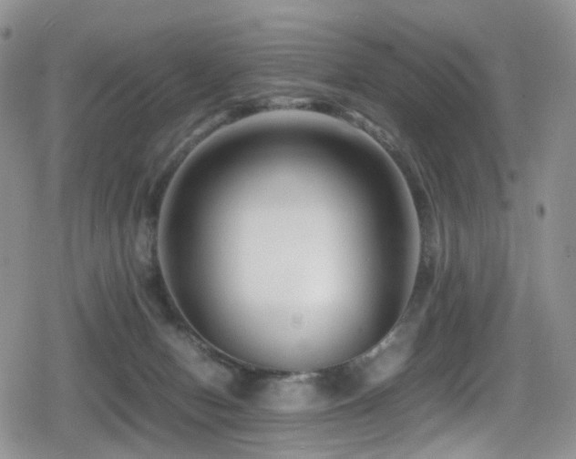X0000080750078200612151325