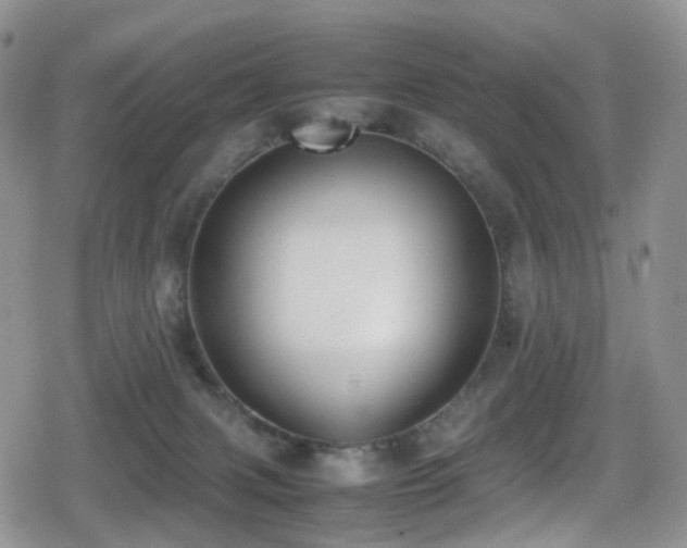 X0000080750079200612151325