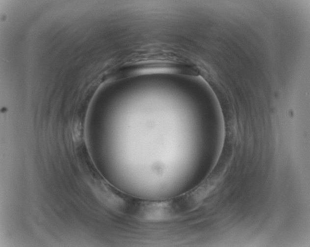 X0000080750081200612151325