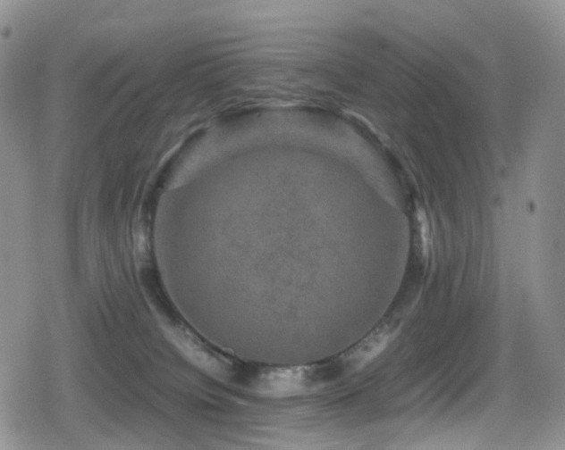 X0000080750084200612151325