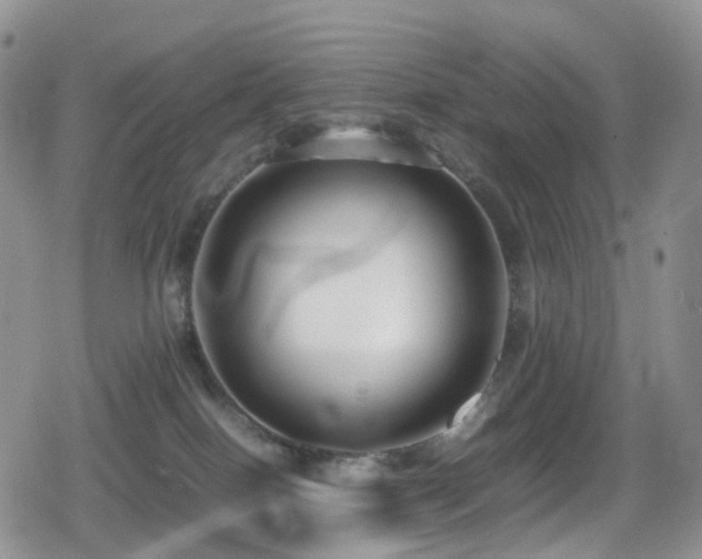 X0000080750086200612151325