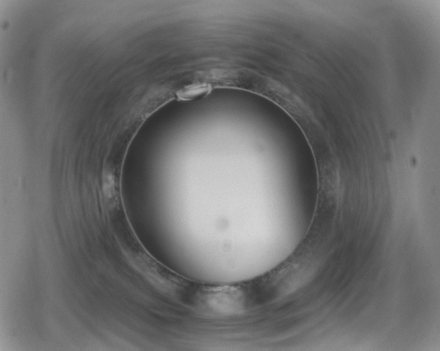 X0000080750087200612151325