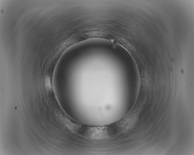 X0000080750089200612151325