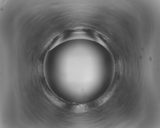 X0000080750092200612151325
