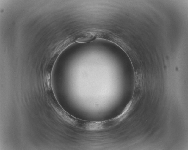 X0000080750094200612151325