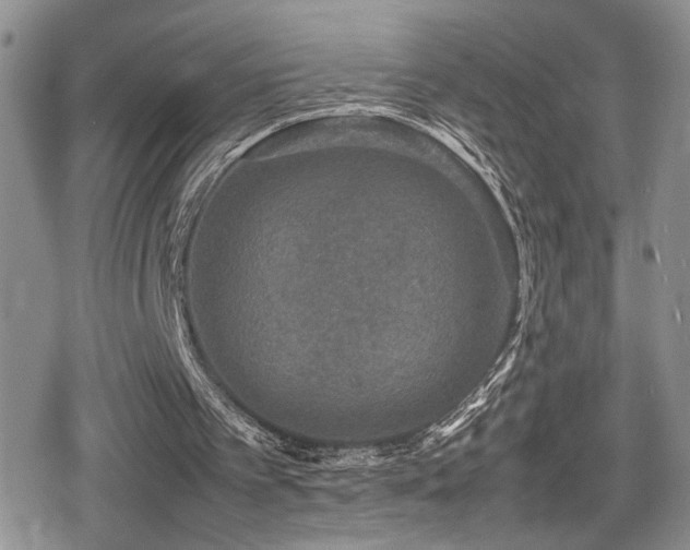 X0000080750097200612151325