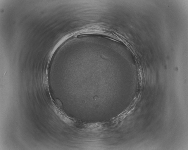 X0000080750100200612151324