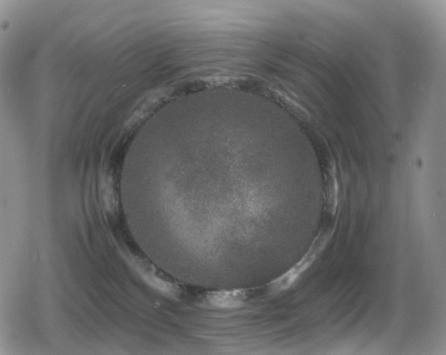 X0000080750136200612151324