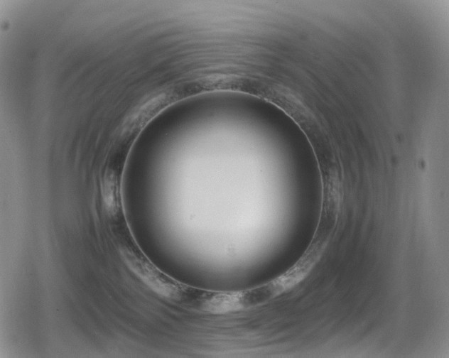 X0000080750138200612151324